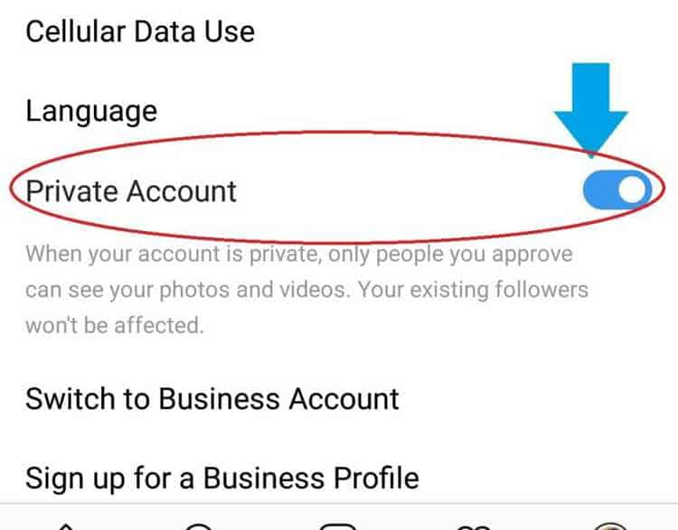 view instagram private profile - how to view a private instagram accounts followers