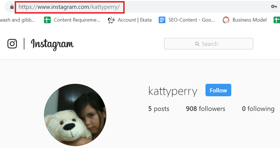 search users on Instagram without an account