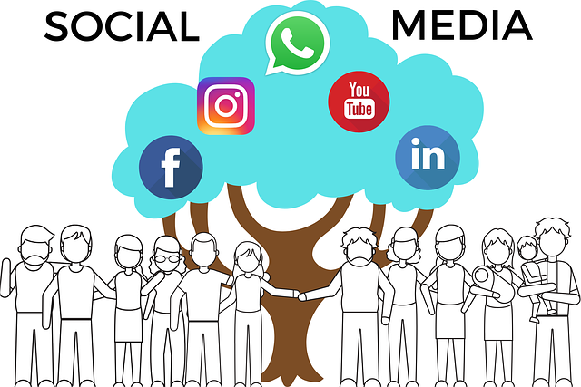 social media growth